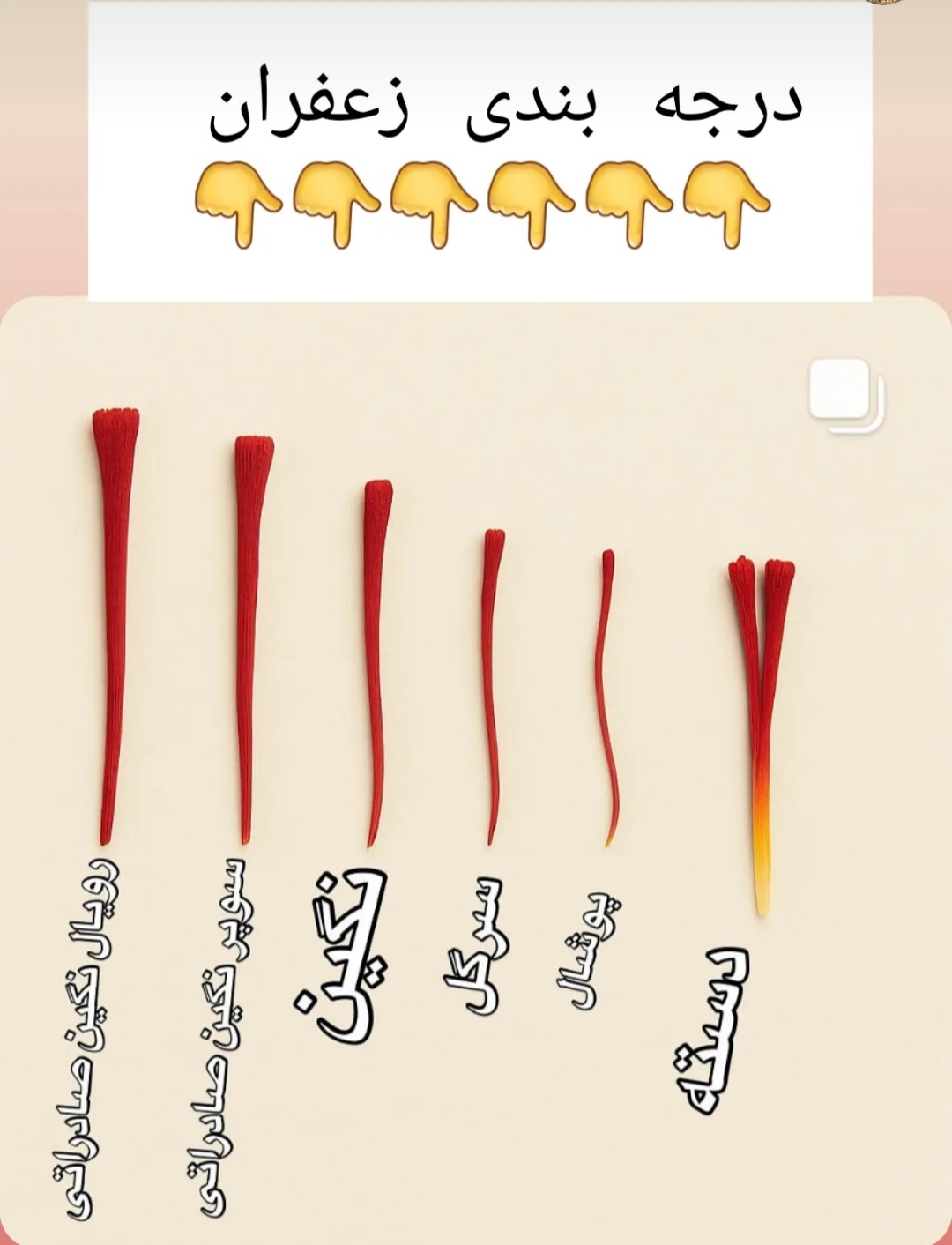 انواع زعفران